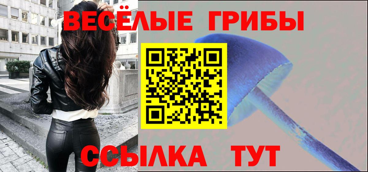 Галлюциногенные грибы Psilocybine cubensis  Вход с VPN  Фрязино 